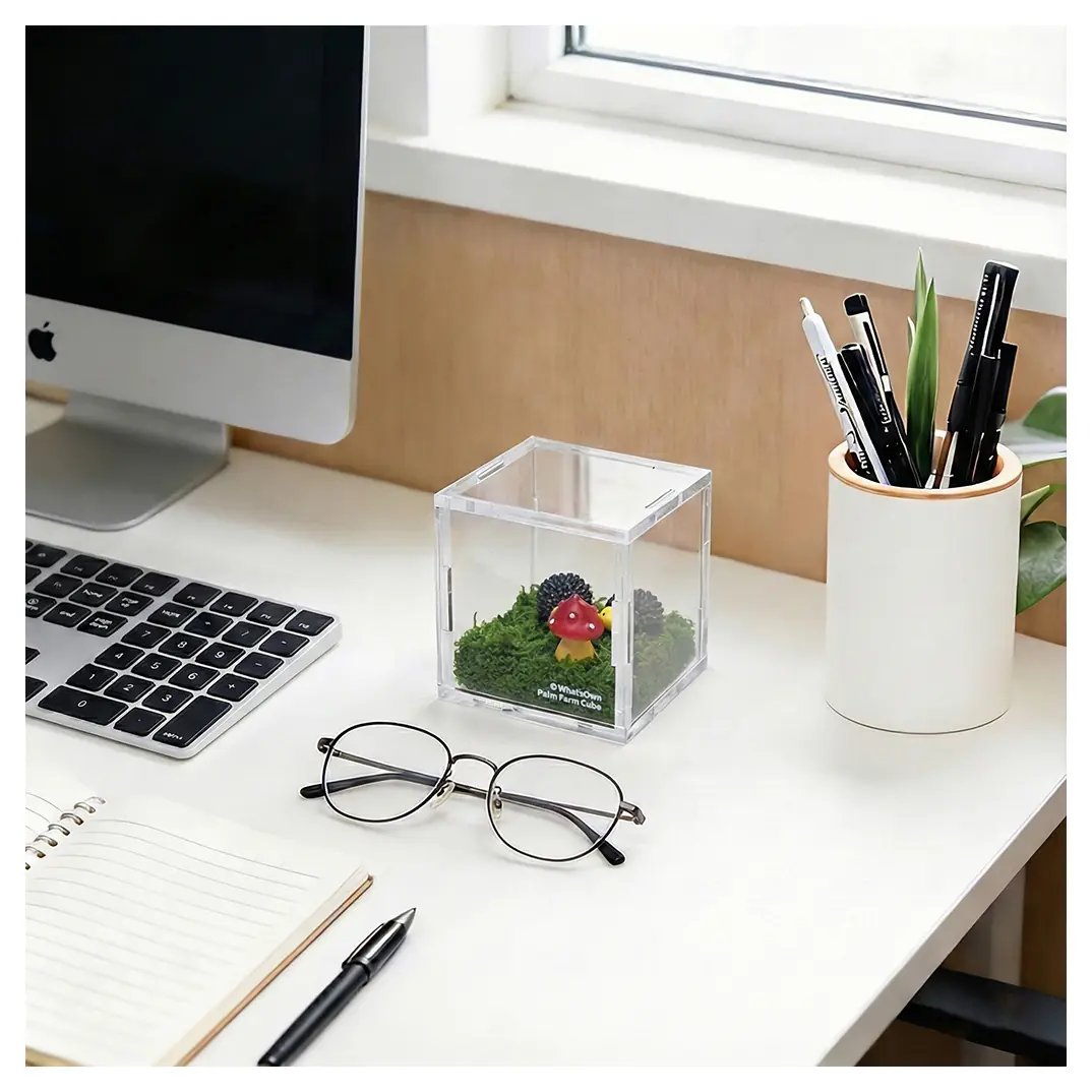 Palm Farm | Hedgehog & Mushroom Cube - Clear Cube Decorative Display Box