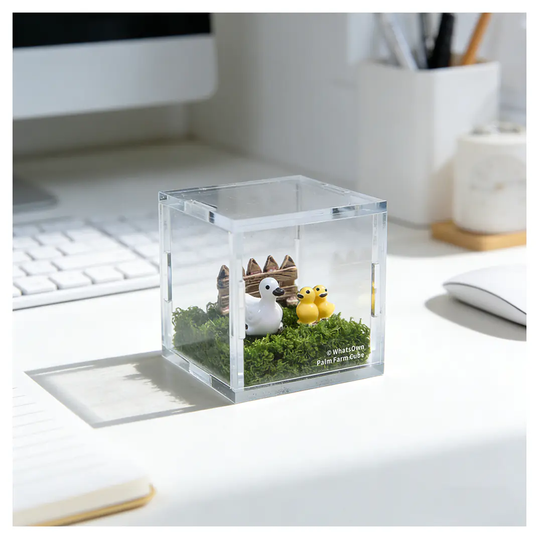 Palm Farm | Mom & Baby Duckling Cube - Clear Cube Decorative Display Box