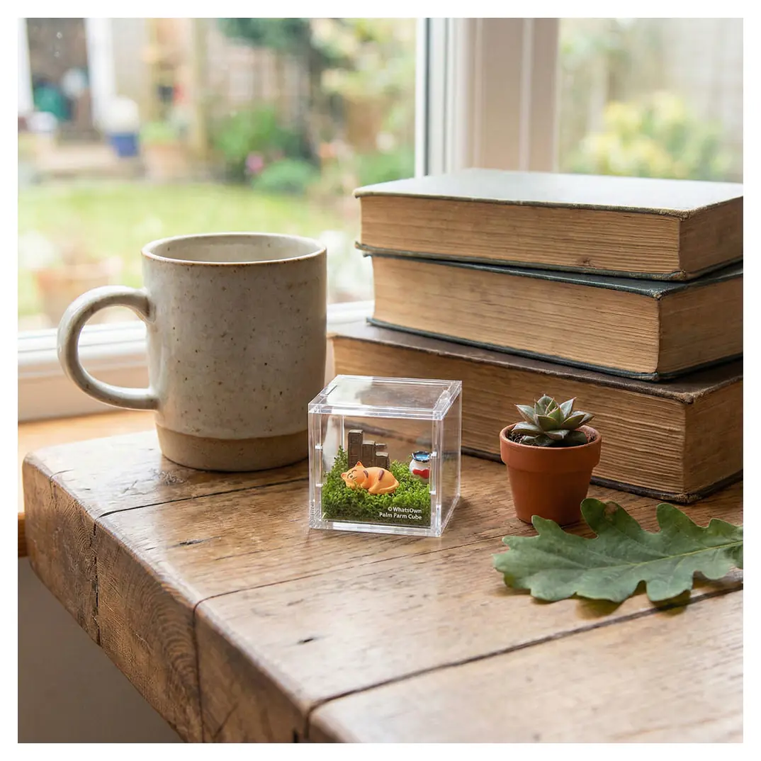 Palm Farm | Sleeping Kitten Cube - Clear Cube Decorative Display Box